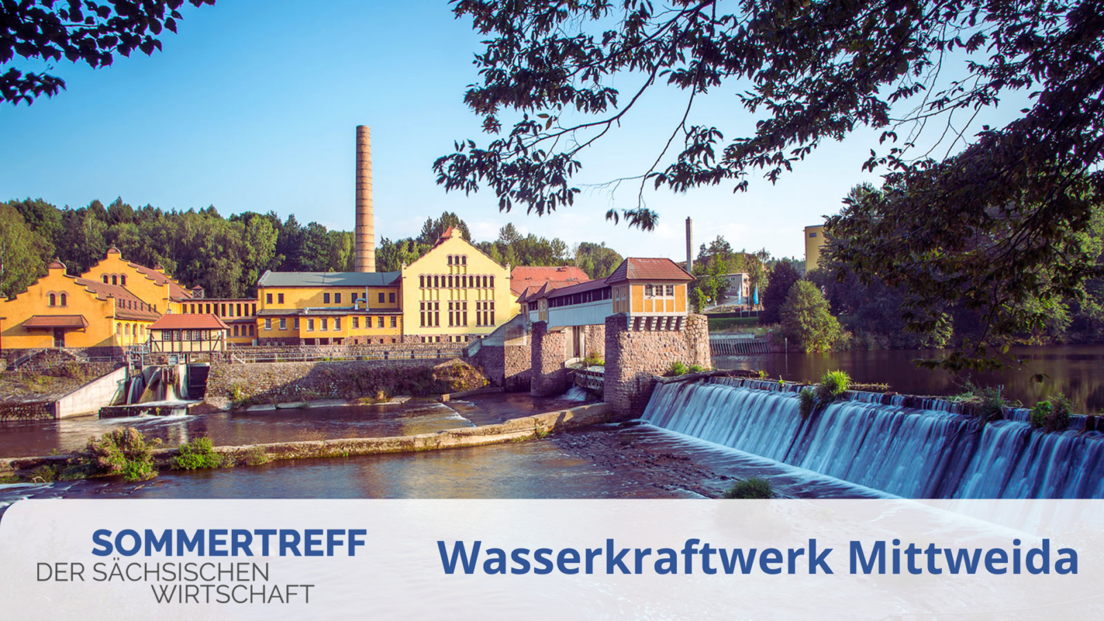 header_Sommertreff_2025